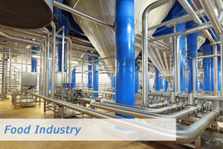 Hose solutions for food industry